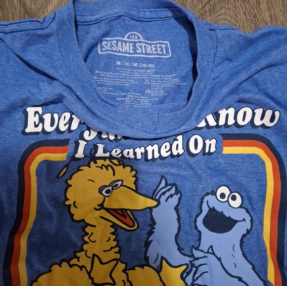 Everything I Know I Learned on the Streets Sesame Street T-Shirt. - Picture 4 of 5